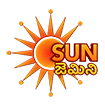 Sun Gemini